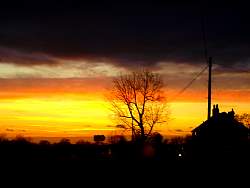 DSC08527.JPG