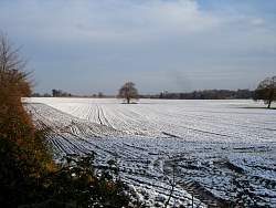 DSC08547.JPG