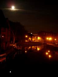 DSC08732.JPG