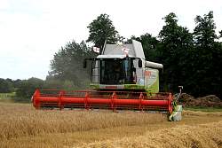 Lexion570014.jpg