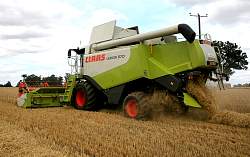 Lexion570018.jpg