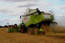 Lexion570019.jpg