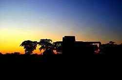 IMG_4786.jpg