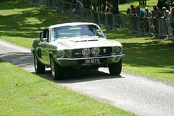 IMG_5054.jpg