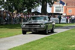 IMG_5055.jpg
