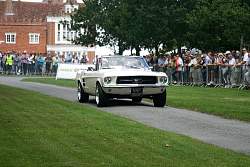IMG_5091.jpg