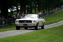 IMG_5093.jpg
