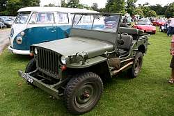 IMG_5142.jpg