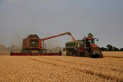 MidAug004.jpg