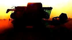 MidAug008.jpg