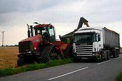 MidAug009.jpg