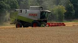 MidAug011.jpg