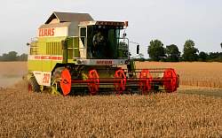 MidAug018.jpg