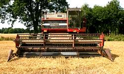 MidAug038.jpg