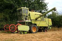 MidAug046.jpg