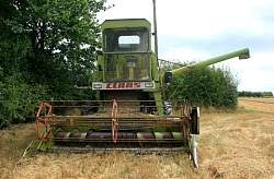 MidAug048.jpg