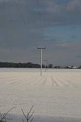 IMG_6139.jpg