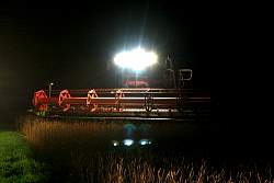 Aug08j_21.jpg