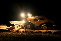 Aug08k_12.jpg