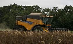 Aug08l_10.jpg
