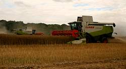 Aug08_01.jpg