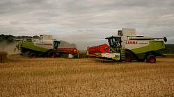 Aug08_04.jpg