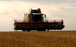 Aug08_05.jpg