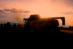 Aug08_07.jpg