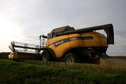 Aug08_09a.jpg