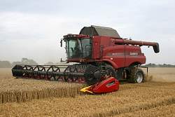 Aug08_19.jpg