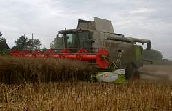 Aug08_21.jpg