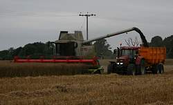 Aug08_25.jpg