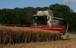 Aug08_27.jpg