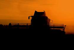 Aug08_36.jpg