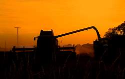 Aug08_38.jpg