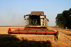 Aug08_42.jpg