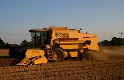 Aug08_43.jpg
