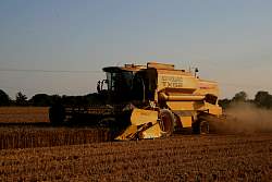 Aug08_44.jpg