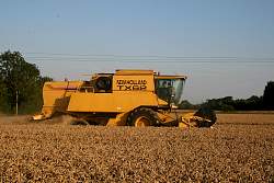 Aug08_45.jpg