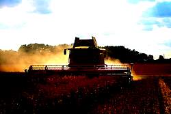 Harvest_2011_01.jpg