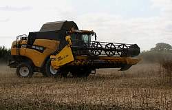 Harvest_2011_02.jpg