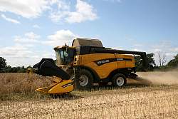 Harvest_2011_03.jpg