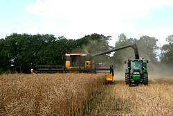 Harvest_2011_09.JPG