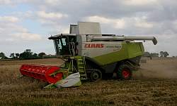 Harvest_2011_17.JPG