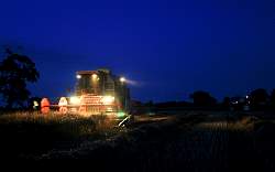 Harvest_2011_22.JPG