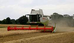 Harvest_2011_23.jpg