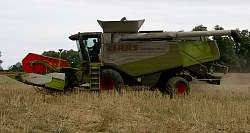 Harvest_2011_25.jpg