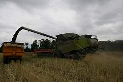 Harvest_2011_27.jpg