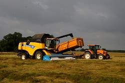 Harvest_2011_29.JPG