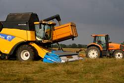 Harvest_2011_30.JPG